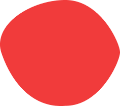 SNS運用